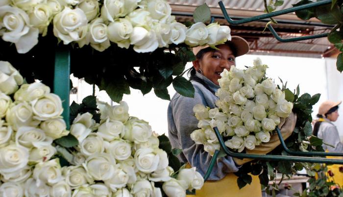 Alejandro Martínez, Presidente Ejecutivo de Expoflores, explicó que la situación alcanzó niveles insostenibles.