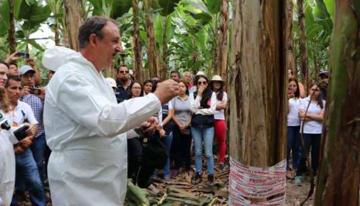 Referencial. Los pequeños productores plataneros también recibieron recomendaciones. (Cortesía)
