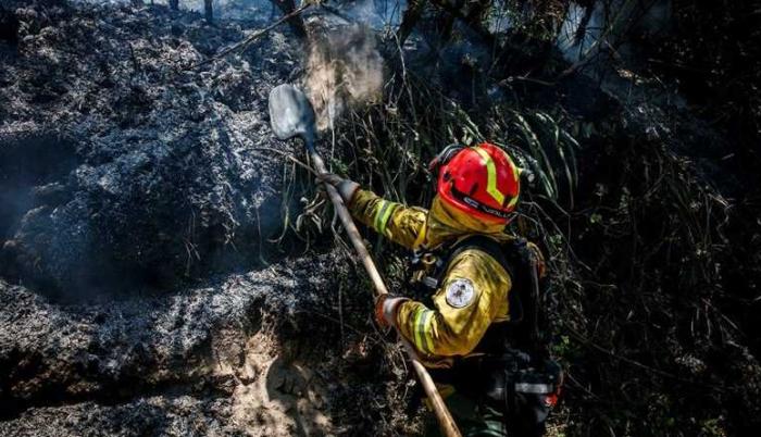 Una vez que el incendio sea liquidado en su totalidad, se iniciarán las investigaciones respectivas para determinar las causas del fuego y la cantidad de área afectada.