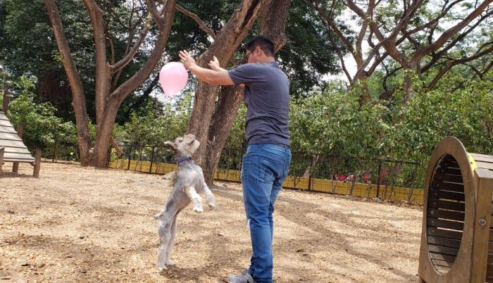 Una de esas áreas ‘pet friendly’ en Guayaquil es el Parque Lineal de la Kennedy Norte.
