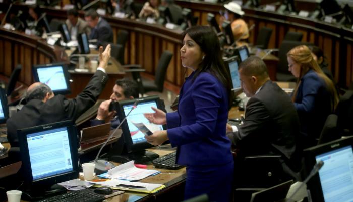 Ponente. La oficialista Ximena Peña sobrevivió a los intentos, encabezados por Roberto Gómez, de CREO, de deponerla como ponente del proyecto.