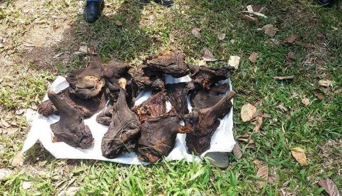 Las autoridades mostraron parte de la carne decomisada.
