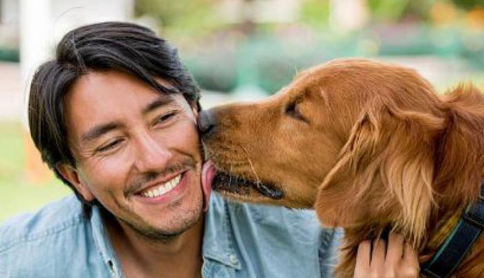 Referencial. Según nuevos estudios de la UNAM, los animales son portadores de la bacteria H. Heilmannii, que ocasiona vómitos, diarrea e infecciones en los seres humanos.