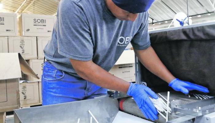 Sobi. Esta empresa, también del grupo Abad, nació el año pasado para fabricar sorbetes de papel biodegradables. Al mes generan 5 millones.