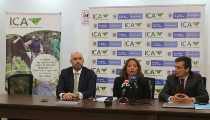 En una rueda de prensa en la titular de ICA, Deyanira Barrera León, confirmó la presencia del hongo.
