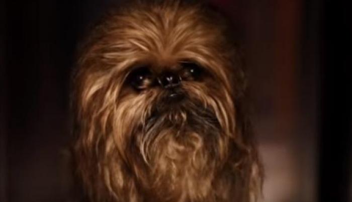 La nueva película de la saga de la Guerra de las Galaxias se estrena el 20 de diciembre del 2019.