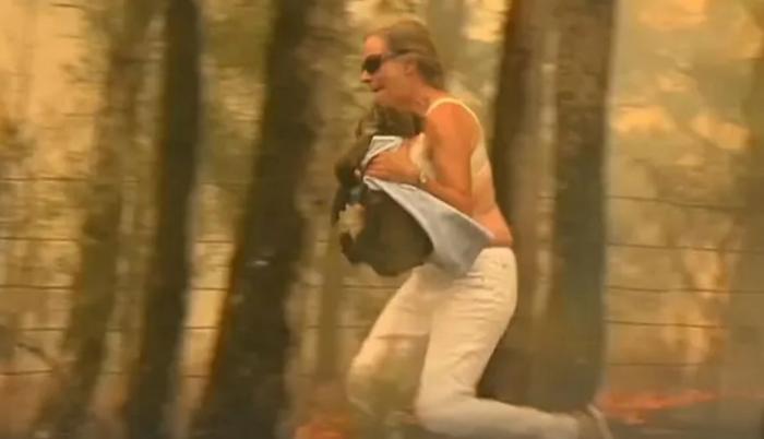 Mujer arriesga su vida para rescatar a un koala