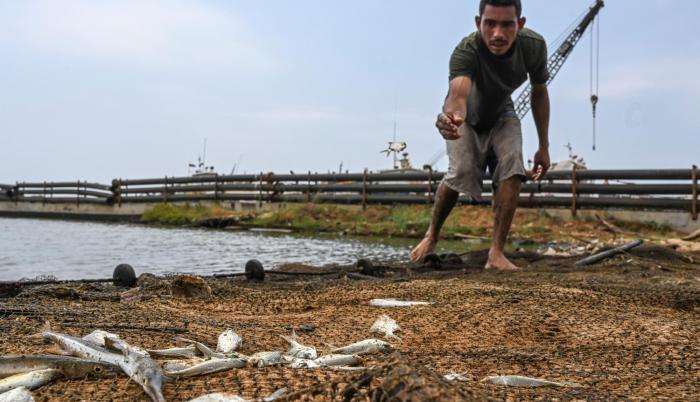 Escasez. Un pescador ve la exigua pesca en su red en el contaminado lago Maracaibo, en el estado de Zulia.