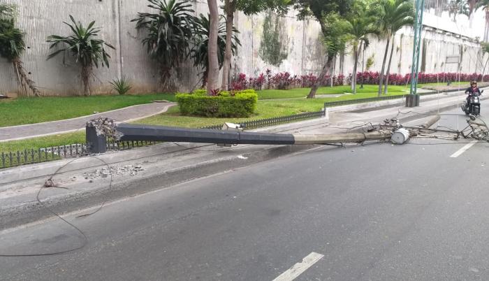 La caída de un árbol y tres postes congestionaron la Carlos Julio Arosemena