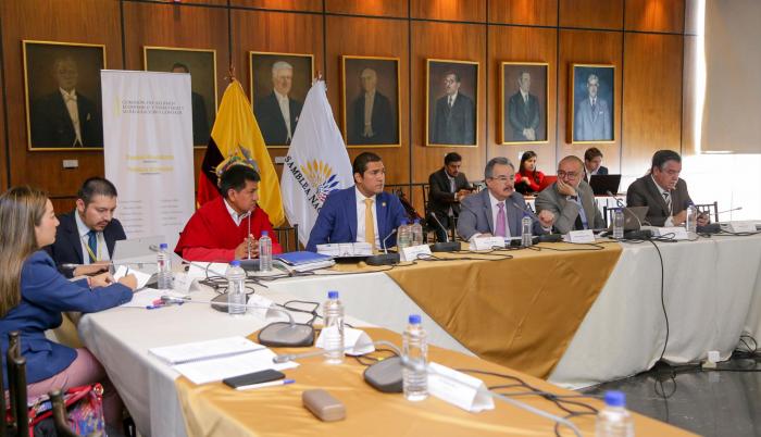 Sesión de la Comisión de Régimen Económico.