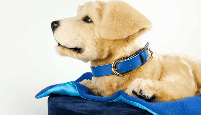 El prototipo canino, que emula a un perro de raza labrador retriever, gruñe y mueve la cola.