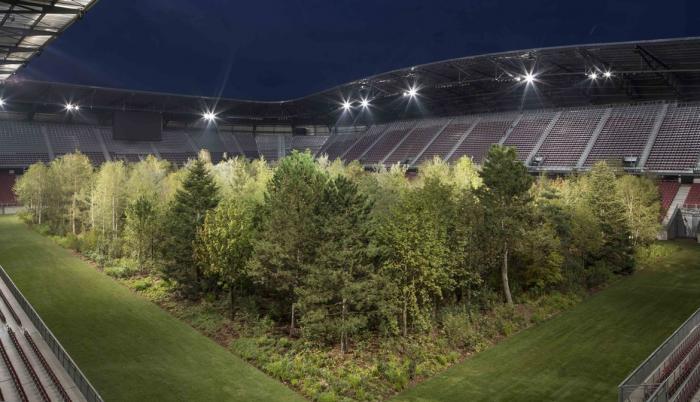 Casi 300 árboles fueron instalados para la obra.