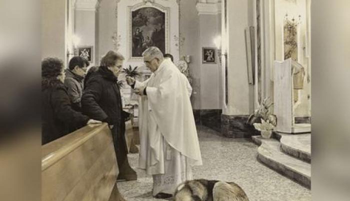 El can falleció al poco tiempo de la muerte de su ama.