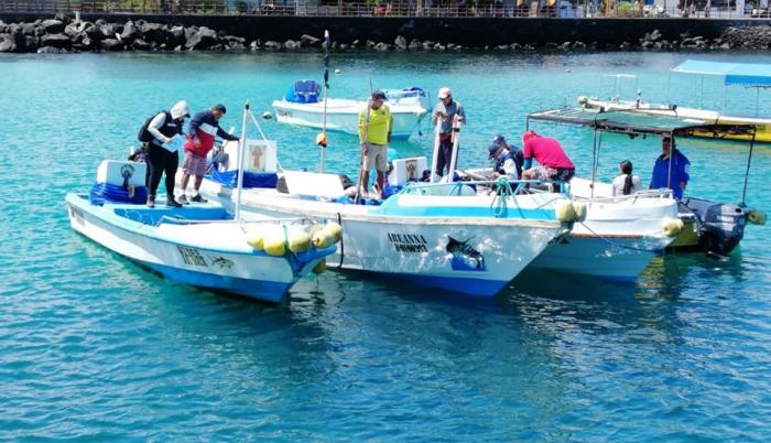 La jornada se llevará a cabo hasta el próximo 30 de octubre. Los pescadores deberán presentar algunos requisitos para obtener certificado de registro.