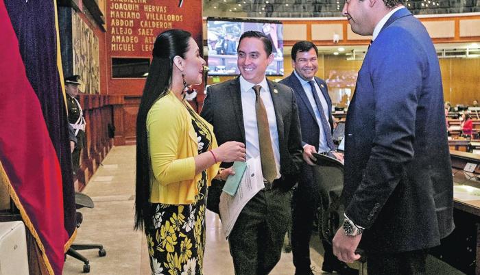 Sesión. La presidenta del CNE, Diana Atamaint, compareció ante el pleno para abogar.