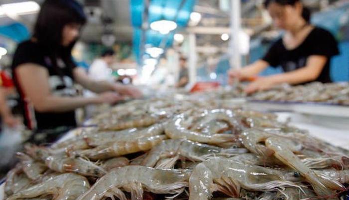 Camarón es el primer producto de exportación de Ecuador