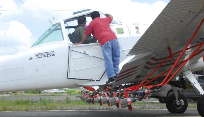 Referencial. Productores de banana están preocupados por el avance del hongo Raza 4.