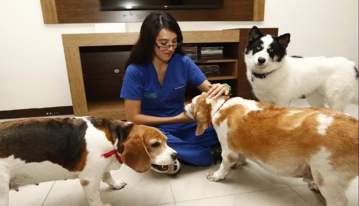 Para tranquilizar a los animales la noche del 31 de diciembre, en Ceibos Animal Care los cuidadores permanecen junto a ellos todo el tiempo.