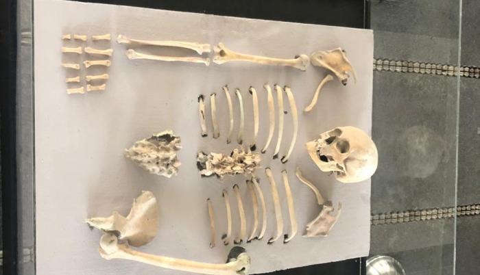 El esqueleto de una mujer centenaria es la principal muestra de cultura en la exposición del Instituto de Patrimonio en Memoria del Distrito Metropolitano de Quito.