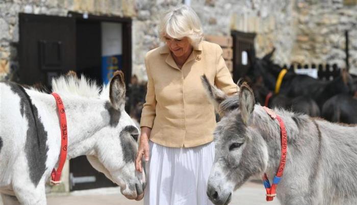 Camilla llegó a los 72 años