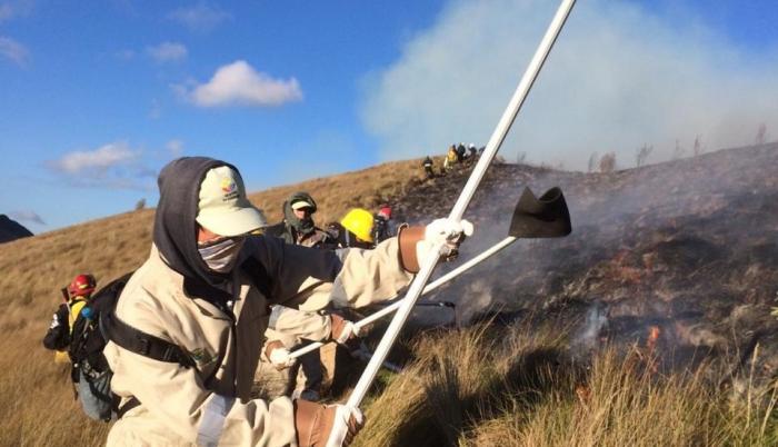 Habitantes de las comunidades cercanas y personal de emergencias ayudan a apagar el incendio.