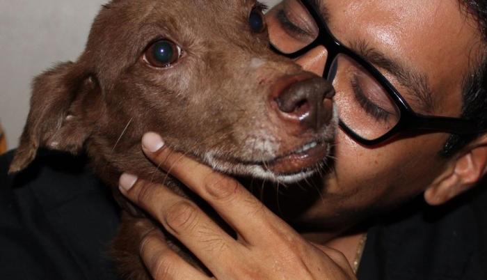 Luis Vera, el ángel de la guarda de los animales callejeros
