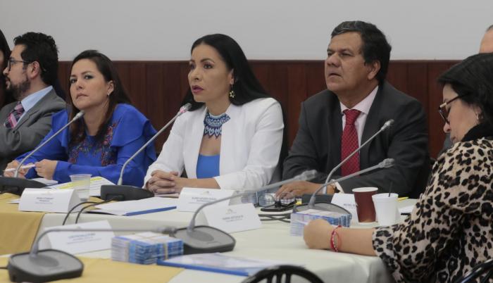 Comisión. La presidenta del Consejo Nacional Electoral, Diana Atamaint, compareció ayer en la Asamblea Nacional por el caso Arroz Verde.