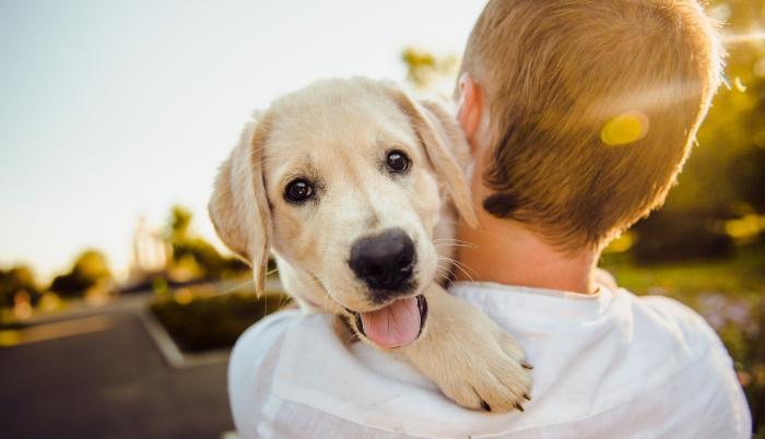 Referencial. Con la ayuda de un médico veterinario se puede lograr buenos resultados y una sana convivencia.