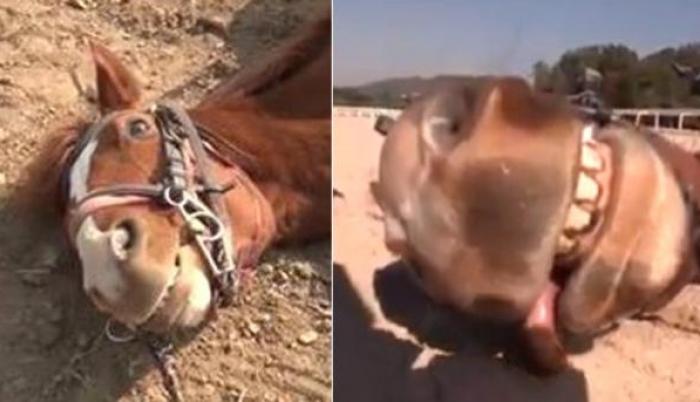 El vídeo tiene más de 23 millones de visitas.