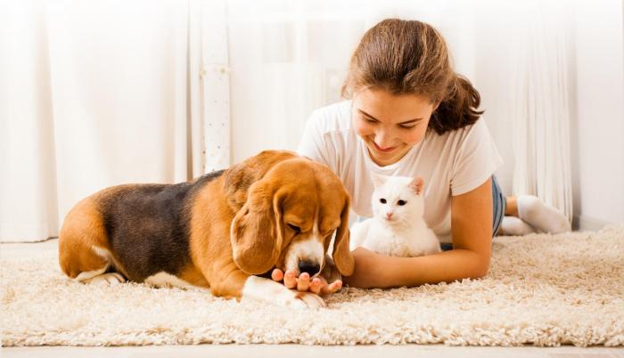 Más o menos se elaboran 10 millones de kilos de croquetas para perros, lo que genera unos $ 53 millones.