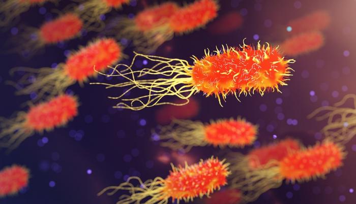 Referencial. El estudio consigna que más de 50 por ciento del material genético recolectado no se pudo asignar a una especie conocida, por lo que representaría microorganismos no descubiertos.