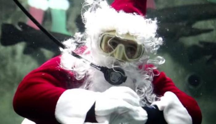 Santa Claus se sumerge en el acuario de Guadalajara