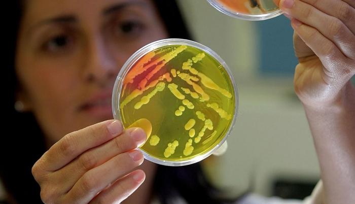 Algunos órganos del cuerpo no funcionan bien sin los microbios necesarios.
