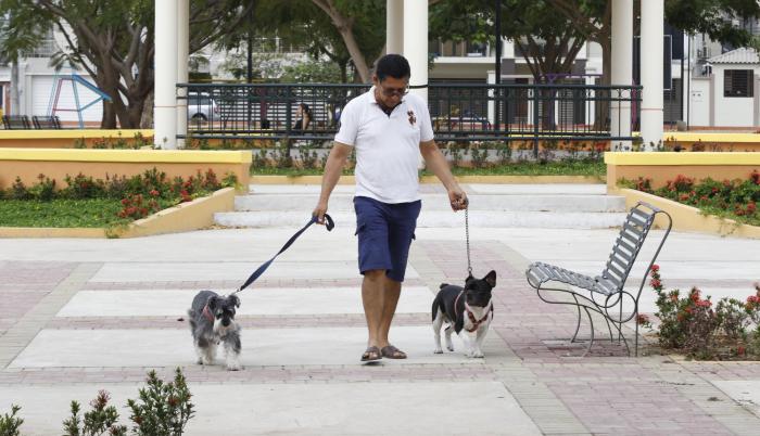 Paseo. Un vecino saca a sus mascotas al mismo parque donde se presume otros canes fueron envenenados.
