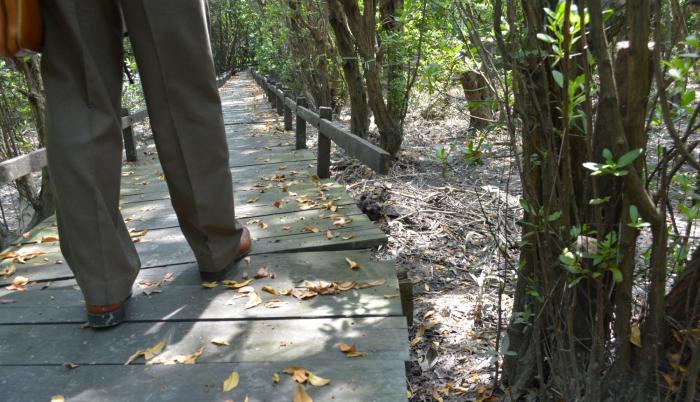 Daños. Así se observa una de las caminerías de uso de los técnicos y empleados del Parque Histórico.