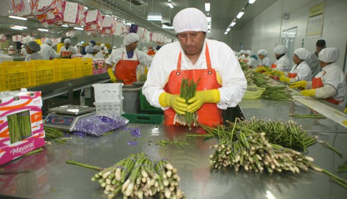 Definición. Todavía se debe definir el reglamento de qué otras actividades podrá realizar una misma empresa.