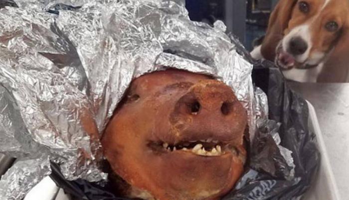 En EE. UU. se prohibe el ingreso de carne de cerdo y productos derivados del mismo. (Imagen: Fox 5)