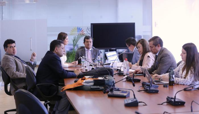Reunión de la Comisión que investiga el caso de Norma Vallejo.