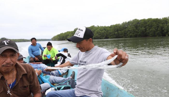 800 personas más o menos viven en Cerrito de los Morreños, una población a la que se puede llegar solo a través del río Guayas.