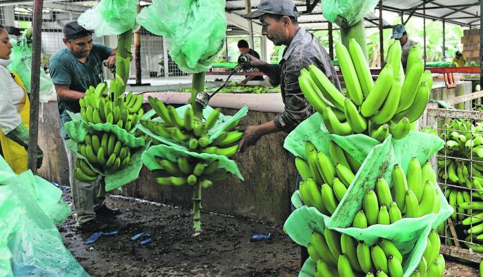 Importaciones. El Gobierno busca agilizar los trámites en las importaciones para mejorar la competitividad.