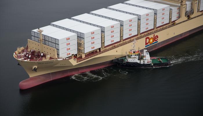 Poder. El banano es la carga más importante de los puertos nacionales y las navieras. Dole es la mayor empresa radicada en el país.