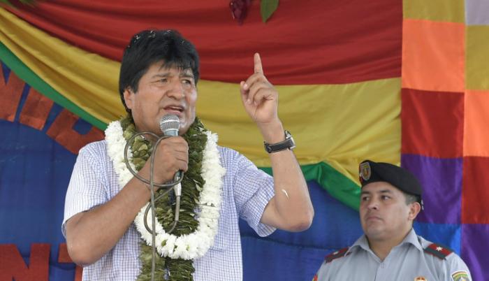 La hoja de coca está consagrada en la Constitución de Bolivia por sus usos tradicionales, medicinales y culturales, pero una parte de la producción es desviada al narcotráfico.