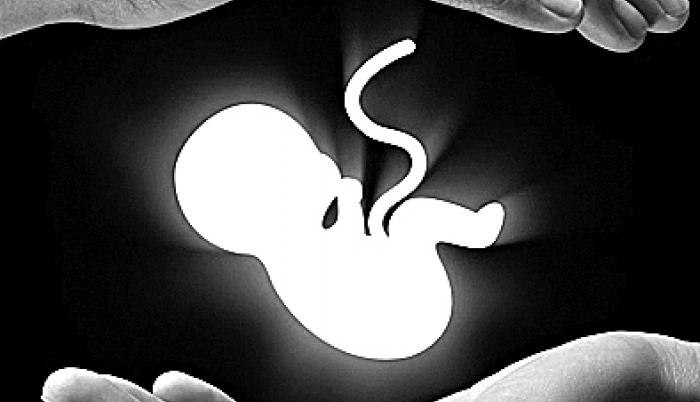 “Los abortos sin que se penalice el crimen”