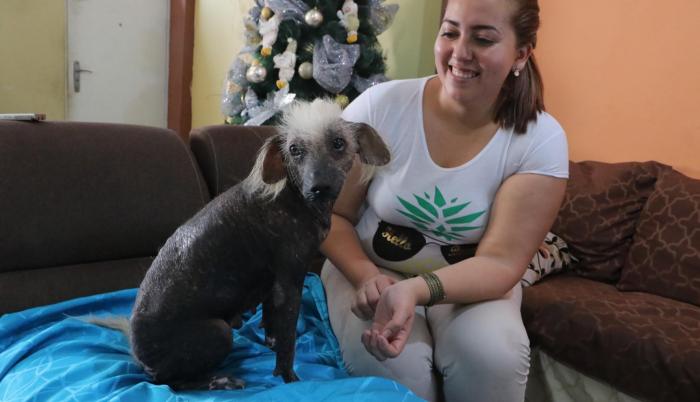 como se llama la casa del perro