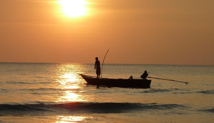 Según el estudio la productividad de los peces está controlada principalmente por el clima.