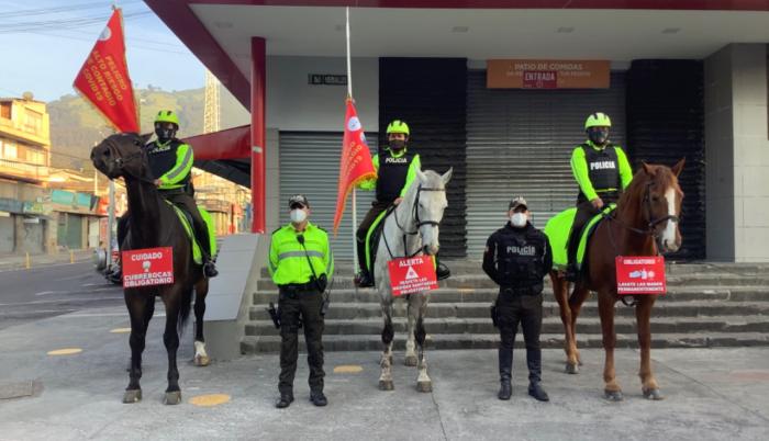 CABALLOS POLICIALES