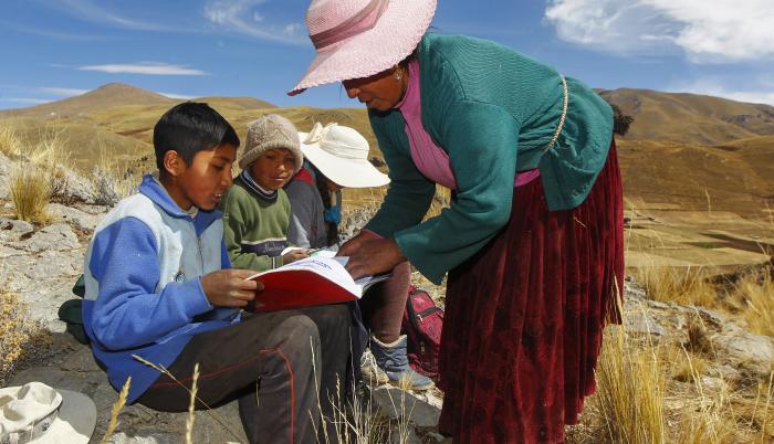 Coronavirus Perú