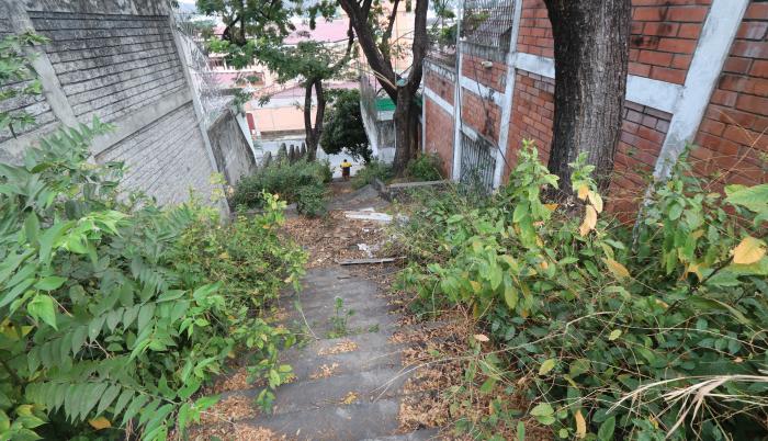 escalinatas de Lomas (32141077)
