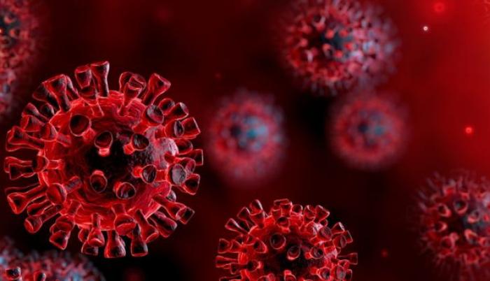coronavirus referencial