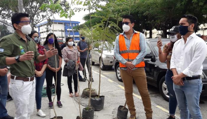 tala de arboles estatal